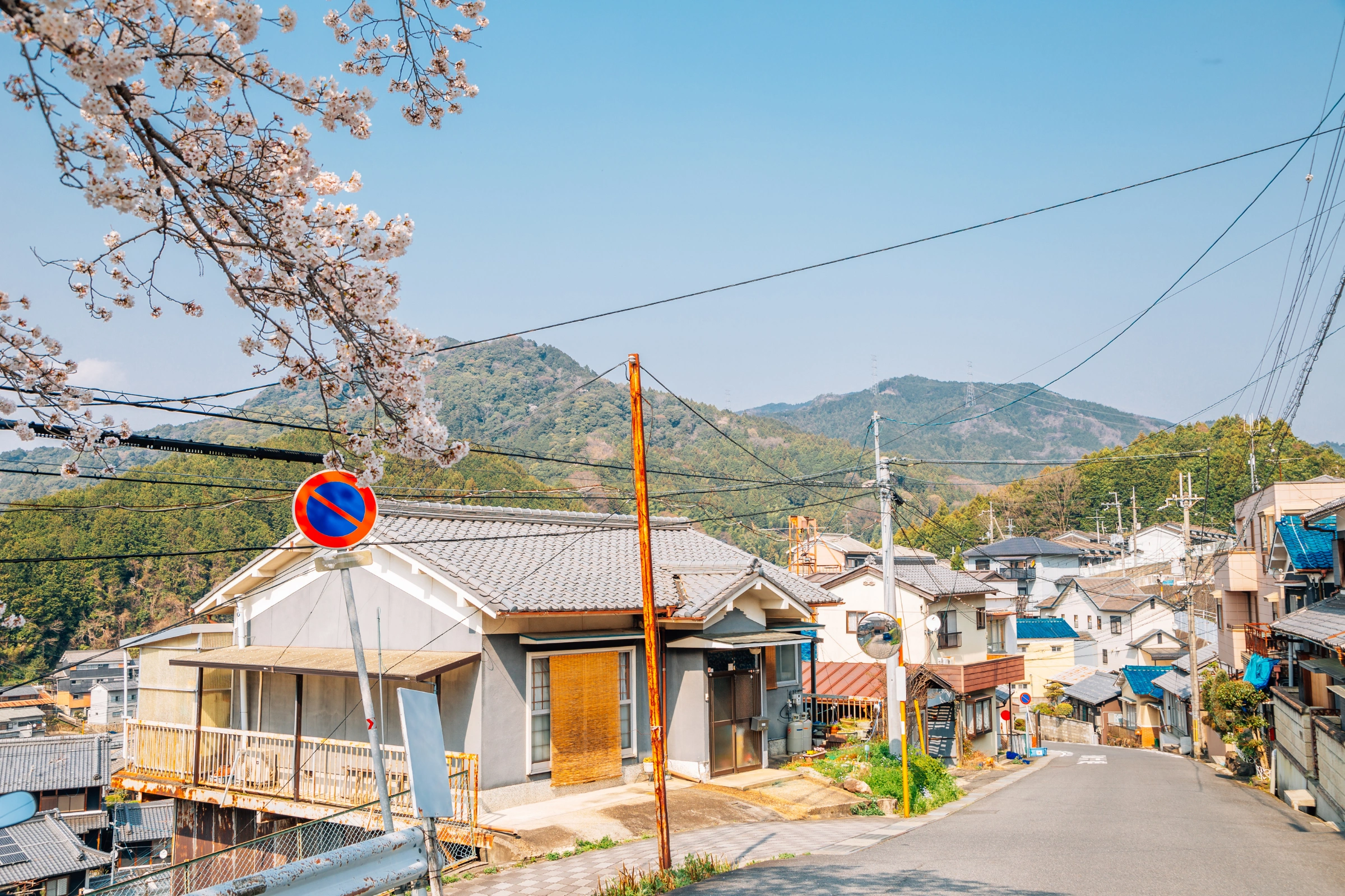 Nara_City[1].webp